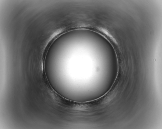 X0000086991221200704301331