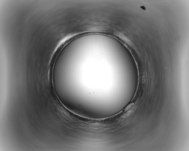 X0000086991222200704301331