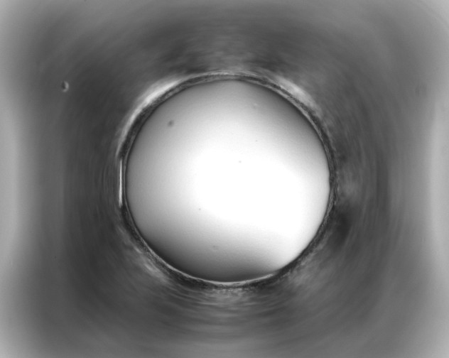 X0000086991223200704301331