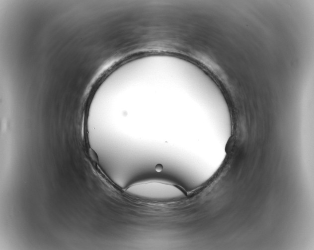 X0000086991224200704301331