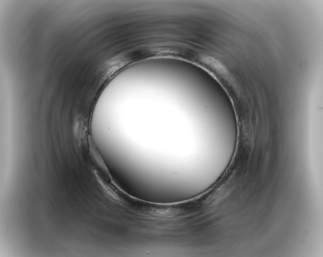 X0000086991225200704301331