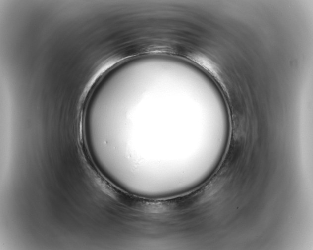 X0000086991227200704301331