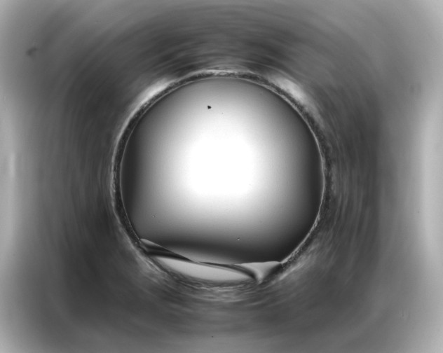 X0000086991229200704301331