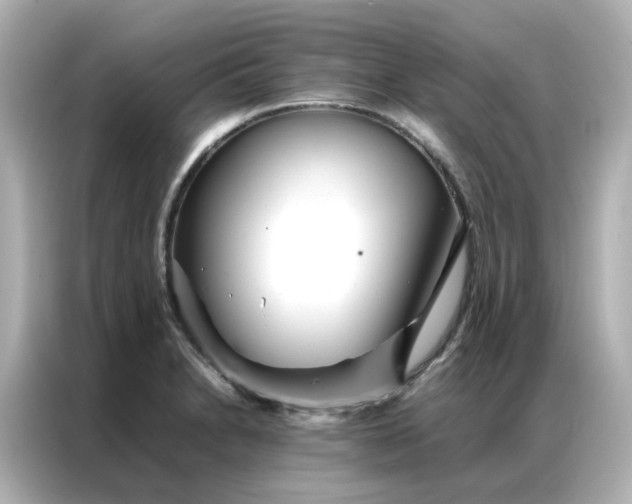 X0000086991230200704301331