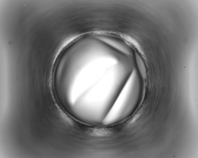 X0000086991231200704301331