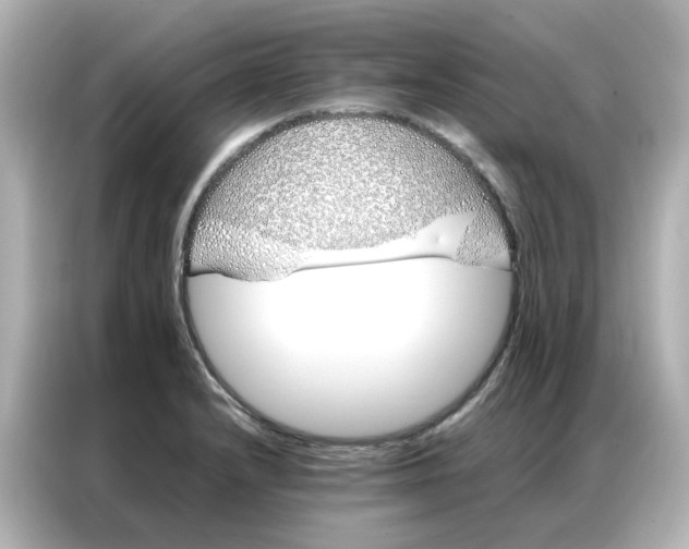 X0000086991232200704301331