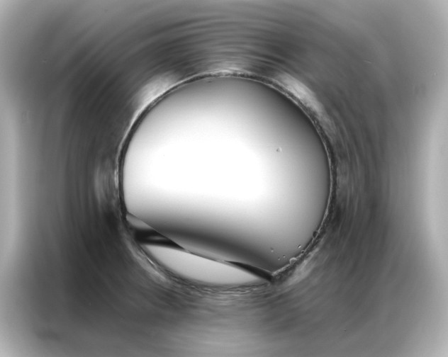 X0000086991234200704301331