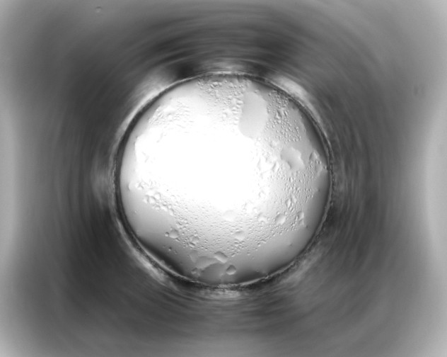 X0000086991235200704301331