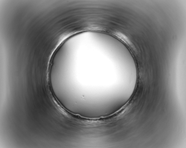 X0000086991236200704301331