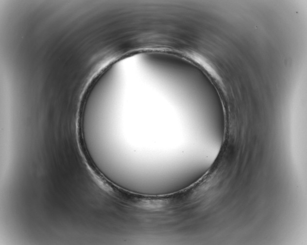 X0000086991237200704301331