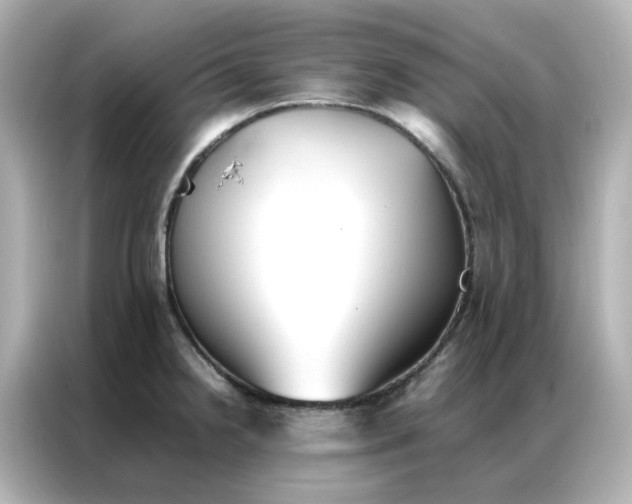 X0000086991238200704301331