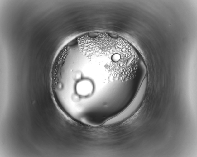 X0000086991239200704301331