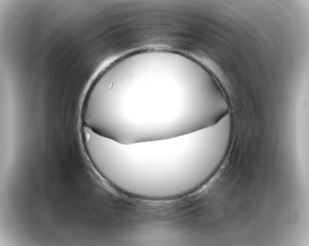 X0000086991240200704301331