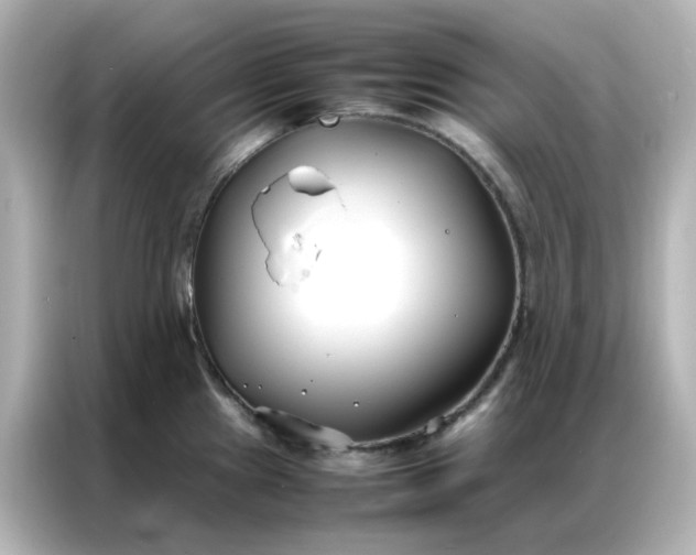 X0000086991241200704301331