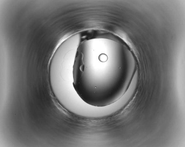 X0000086991242200704301331