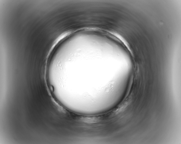 X0000086991245200704301331