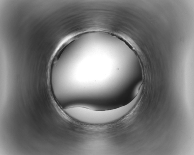 X0000086991246200704301331