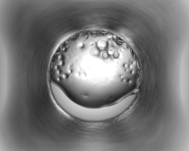 X0000086991247200704301331