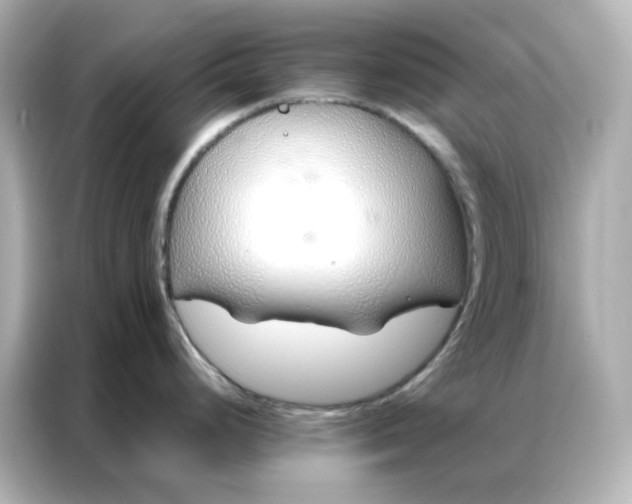 X0000086991248200704301331