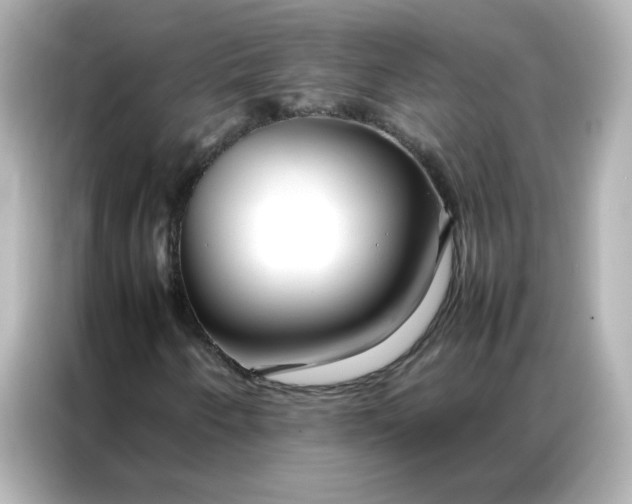 X0000086991250200704301331