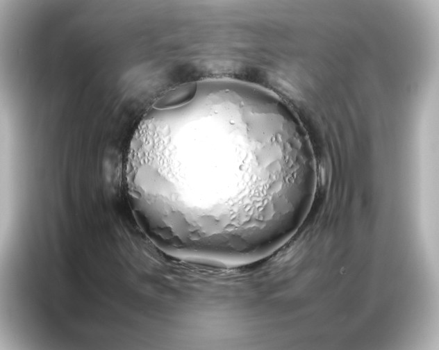 X0000086991251200704301331