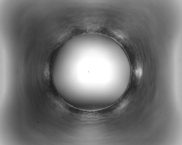 X0000086991252200704301331