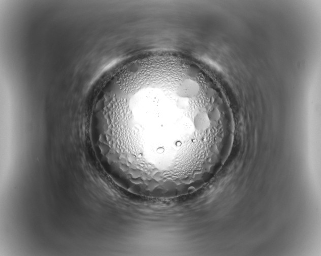 X0000086991255200704301330