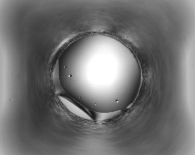 X0000086991256200704301330