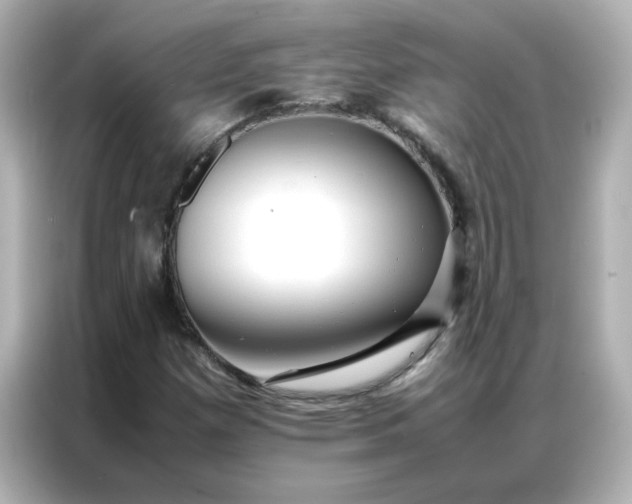 X0000086991257200704301330