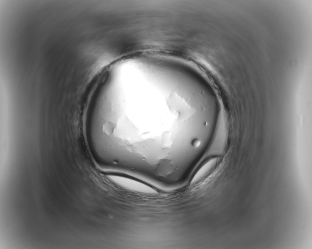 X0000086991259200704301330