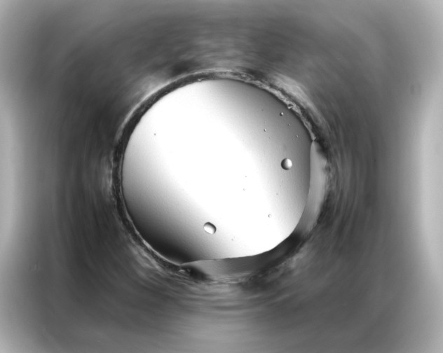 X0000086991260200704301330