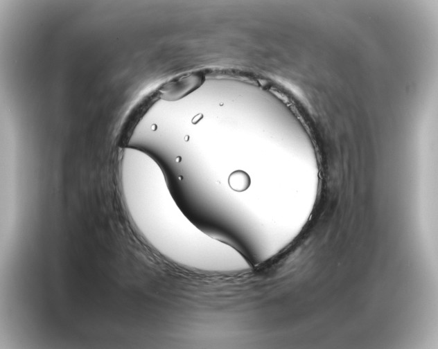 X0000086991263200704301330