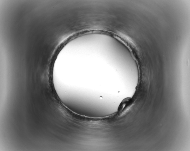 X0000086991264200704301330