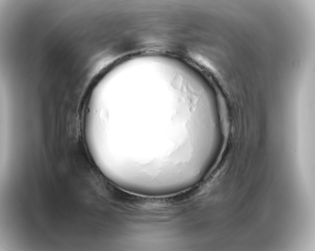 X0000086991267200704301330