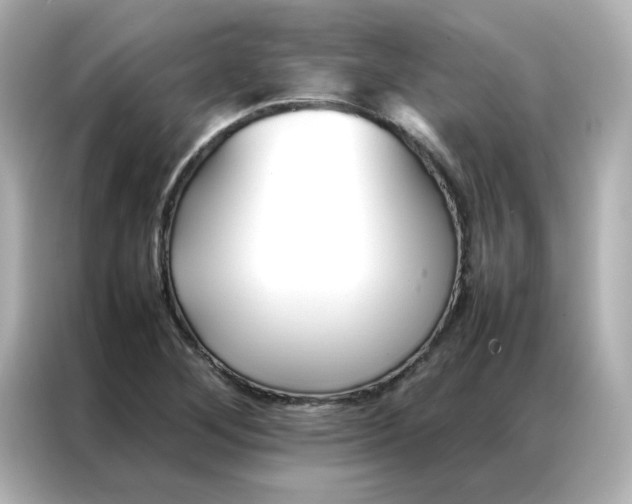 X0000086991268200704301330