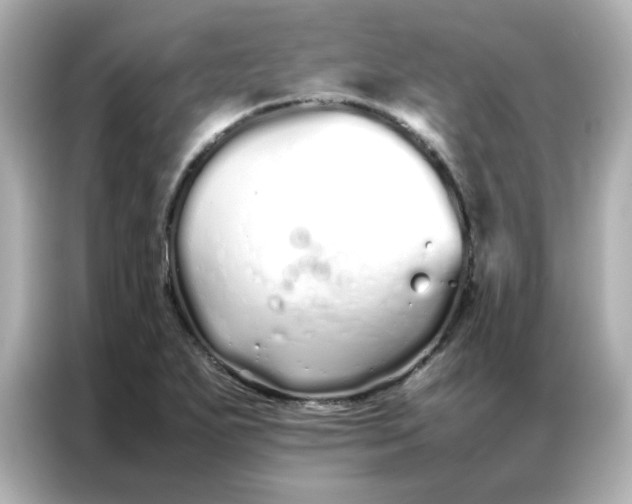 X0000086991271200704301330