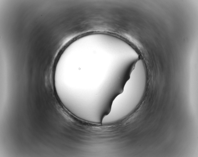 X0000086991272200704301330