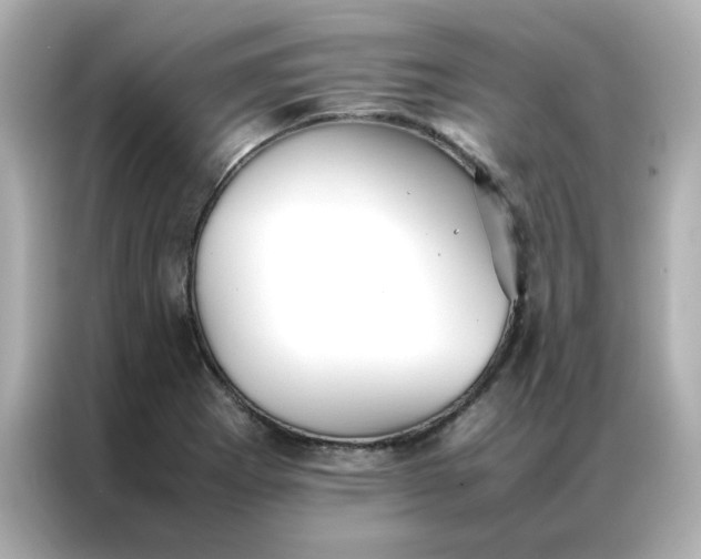 X0000086991273200704301330