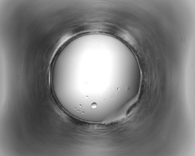 X0000086991275200704301330