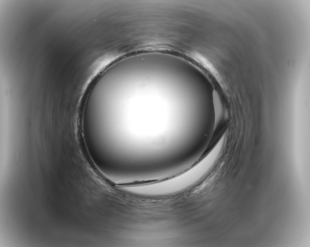 X0000086991277200704301330