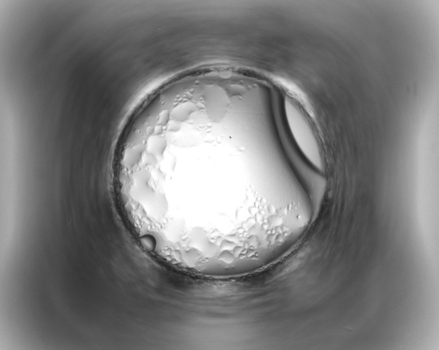 X0000086991279200704301330