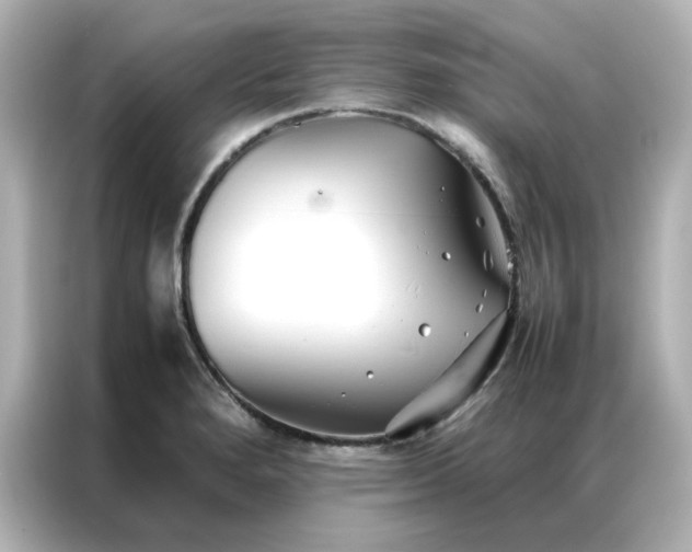 X0000086991280200704301330