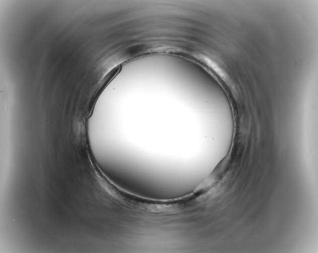 X0000086991281200704301330