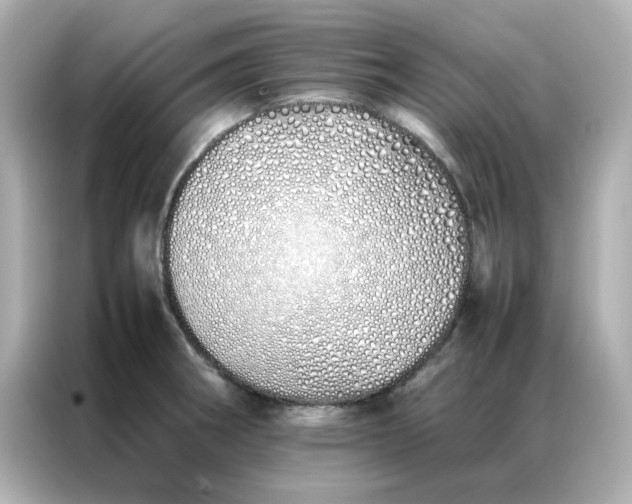 X0000086991282200704301330