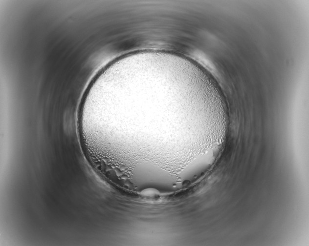 X0000086991283200704301330