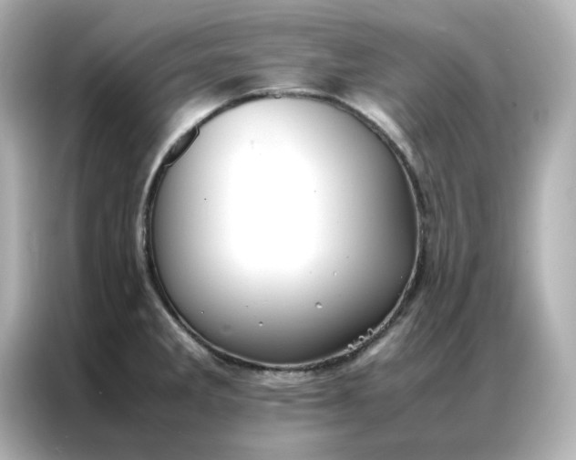 X0000086991285200704301330