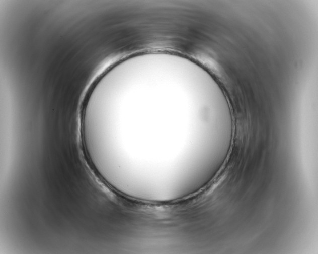 X0000086991286200704301330