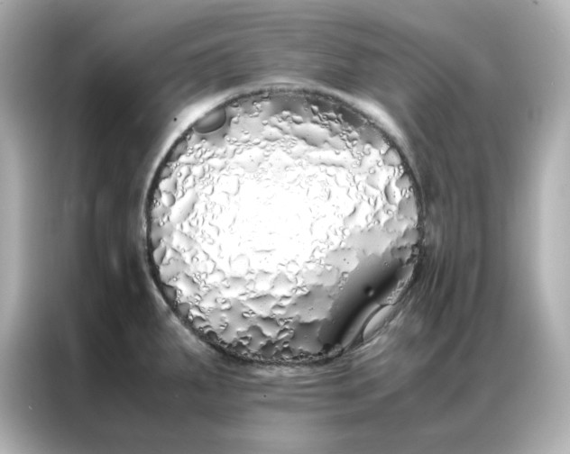 X0000086991287200704301330