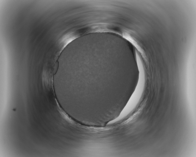 X0000086991289200704301330