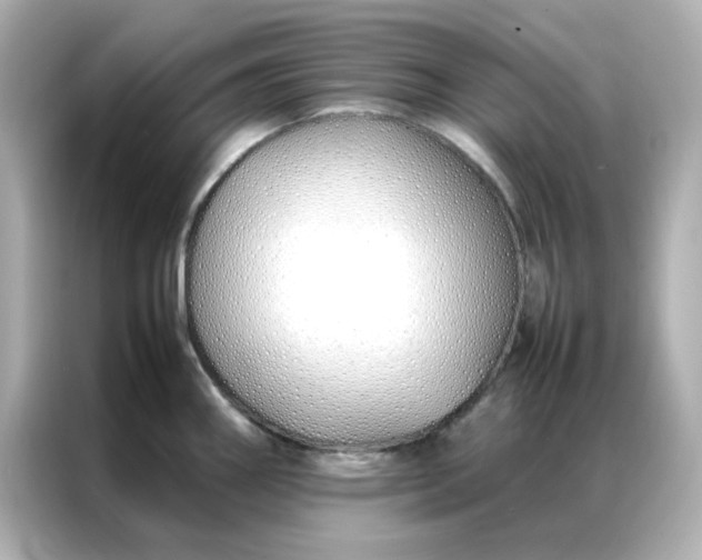 X0000086991290200704301330